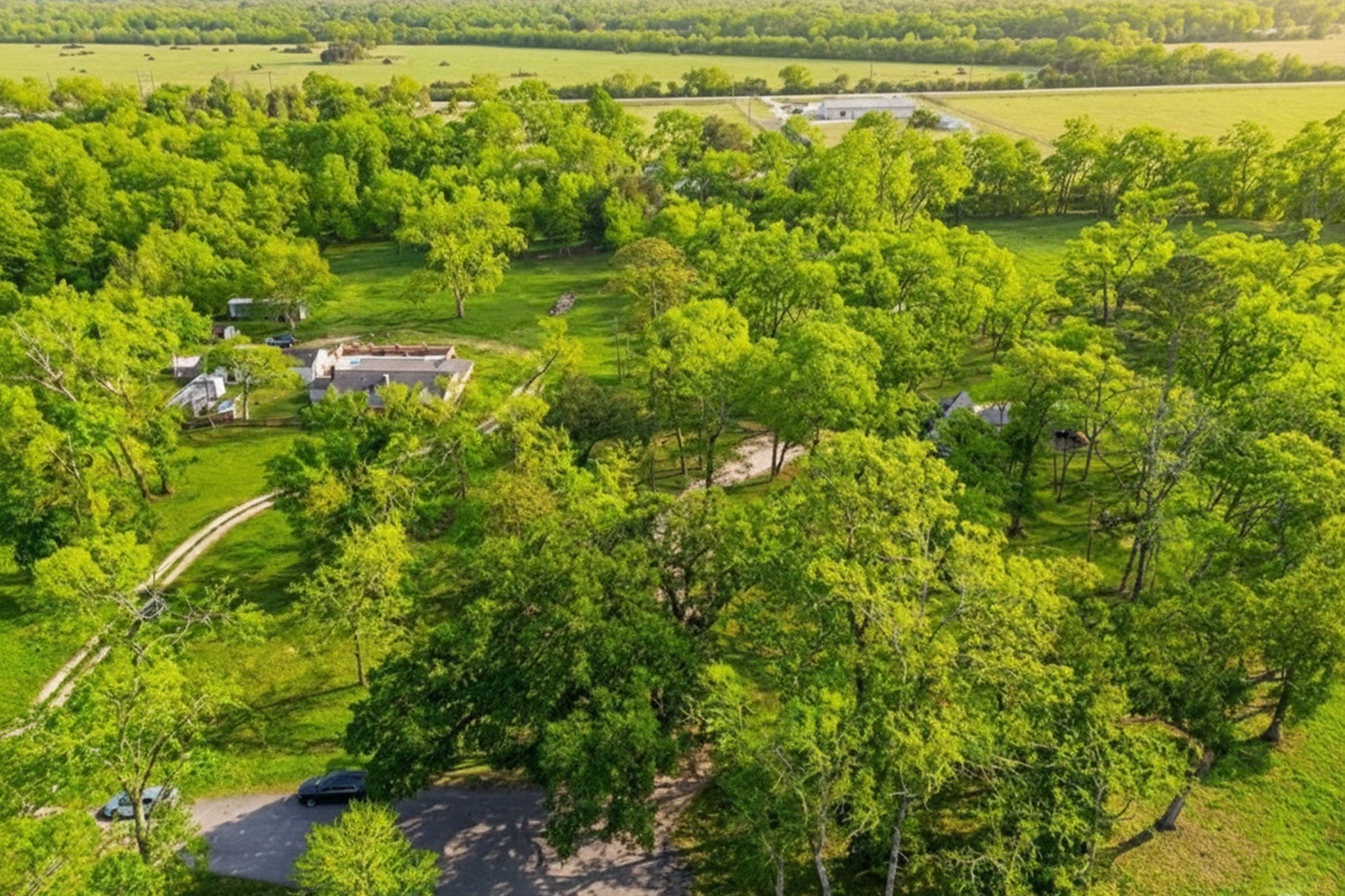 14311 Blidel Road Thompsons, TX 77469 - Photo 23 of 27 Aerial view showcasing expansive wooded acreage, surrounding open land, mature trees, and peaceful rural setting.