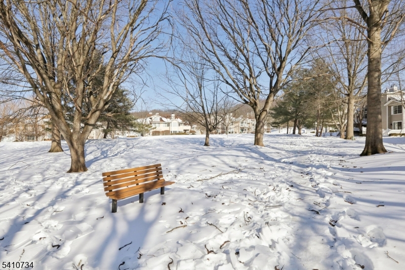 25 Crestmont Road Bedminster, NJ 07921 - Photo 29 of 29