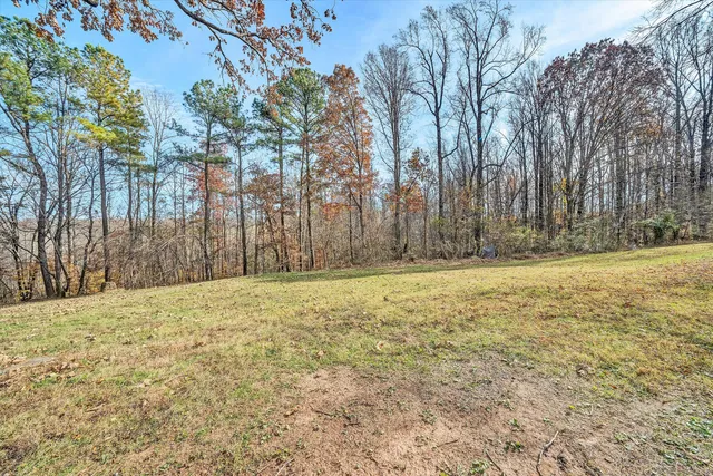 a front view of a house with a yard and trees