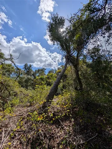 $12,000 | 181 Juper Street, Port Charlotte, FL 33953