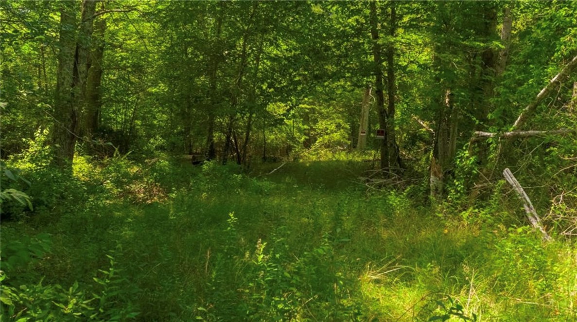 0 Lawton Foster Road South Hopkinton, RI 02833 - Photo 1 of 19
