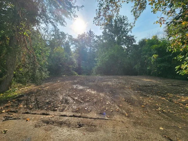 a view of a yard with trees