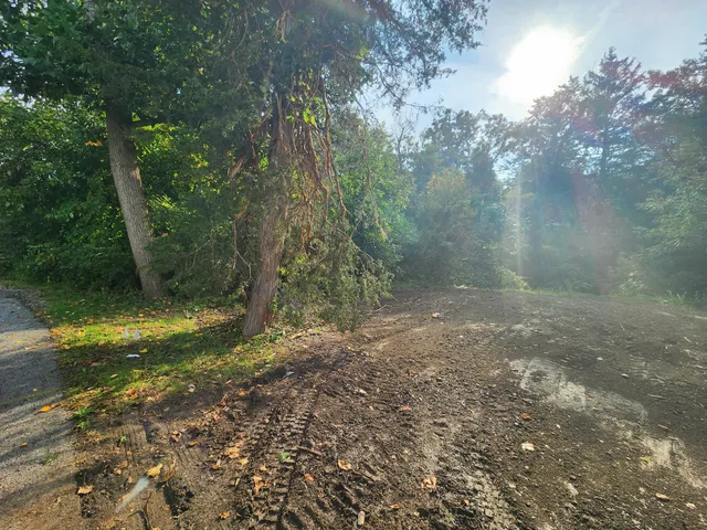 a view of a yard with a tree