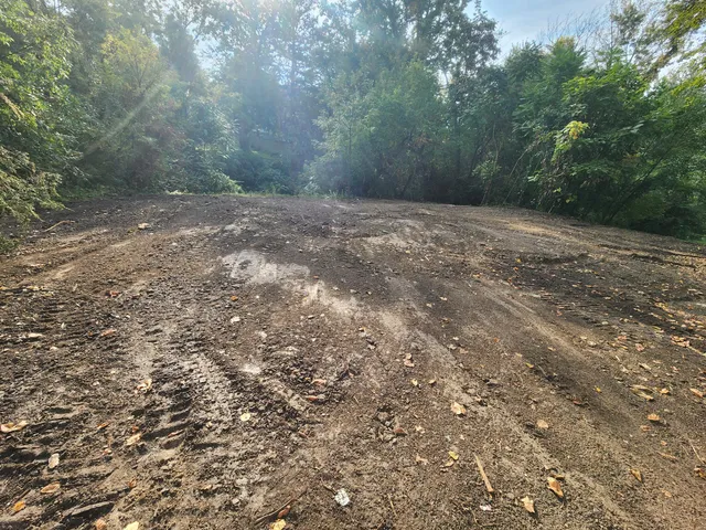 a view of a yard with a tree