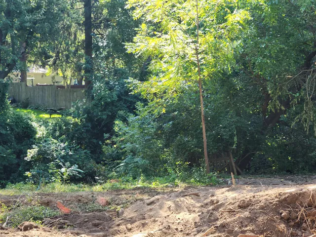 a backyard of a house with lots of green space