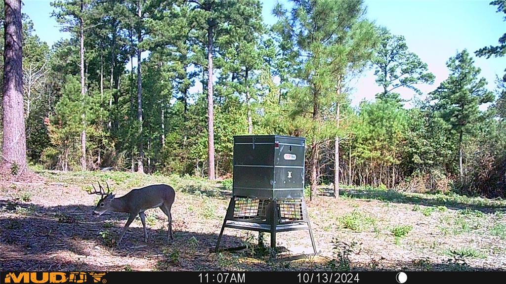 8079 Rd Ben Wheeler Tx 75754 Road Ben Wheeler, TX 75754 - Photo 6 of 37 a view of a chairs and fire pit in a yard