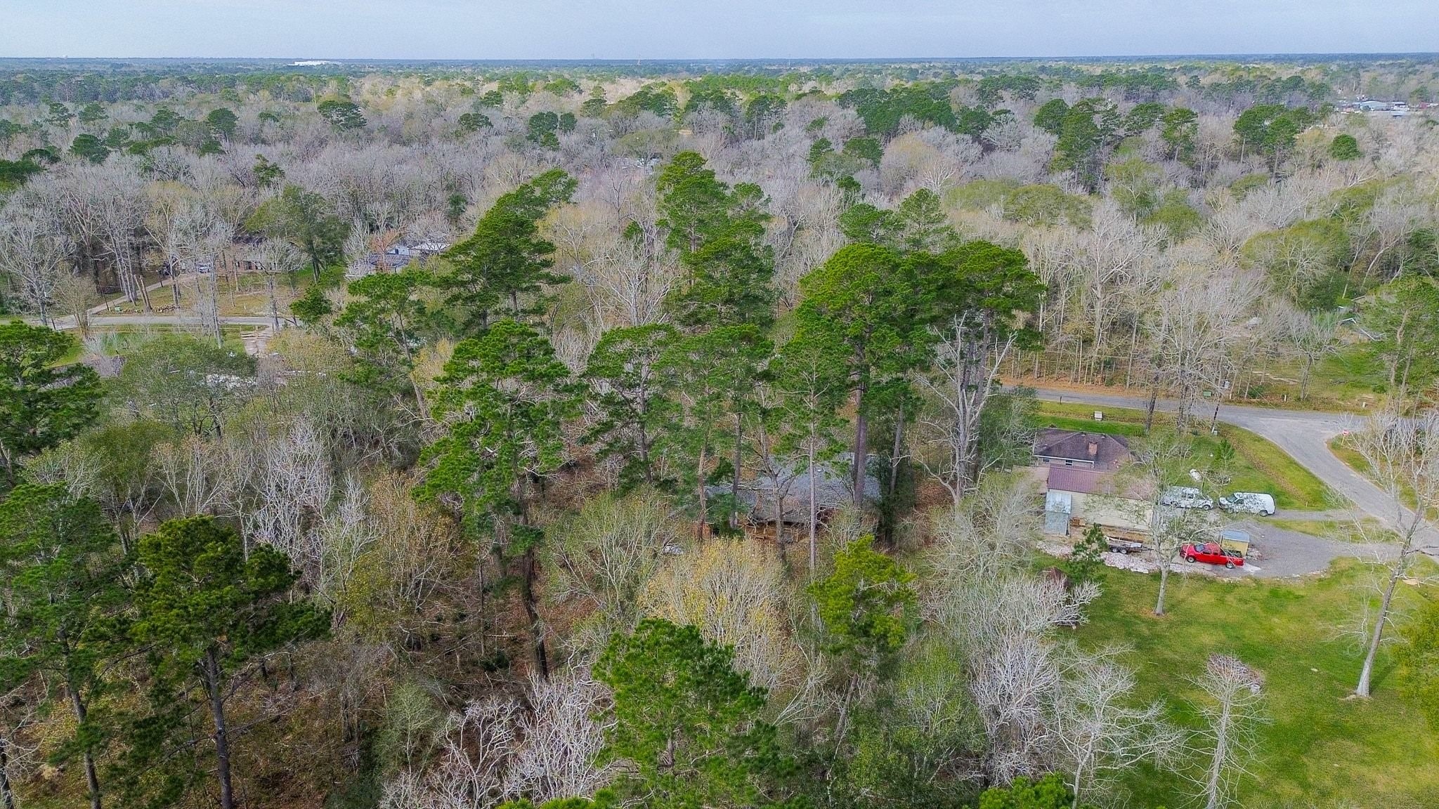 17831 Magnolia Lane New Caney, TX 77357 - Photo 22 of 27