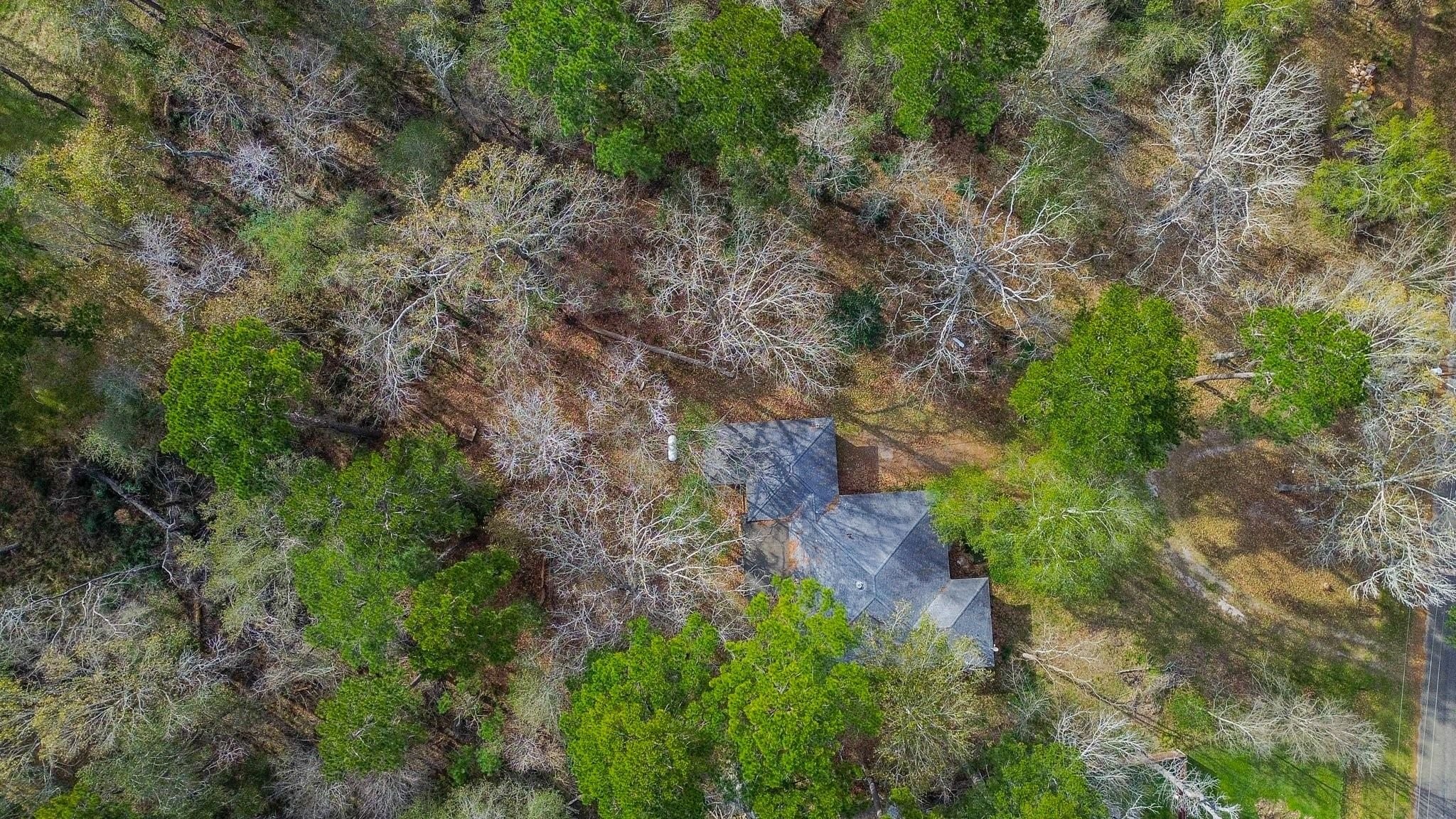 17831 Magnolia Lane New Caney, TX 77357 - Photo 25 of 27