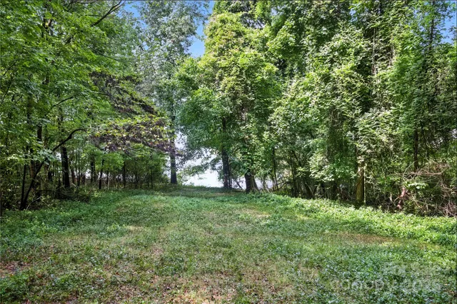 a view of a grassy field with trees in the background