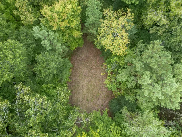 a view of a garden with plants