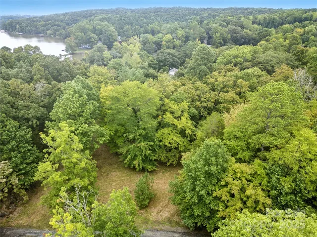 a view of a forest with a street