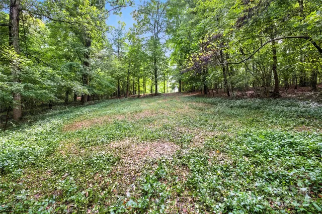 a view of outdoor space and yard