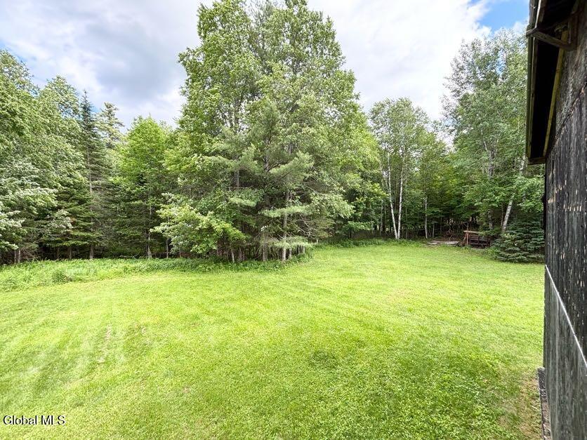 31 Chaisson Road Newcomb, NY 12852 - Photo 41 of 51 IMG_2653