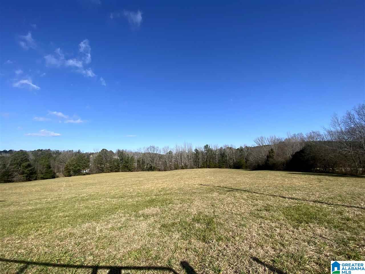 0 Eagle Bald Road, Unit 471 Jacksonville, AL 36265 - Photo 5 of 7