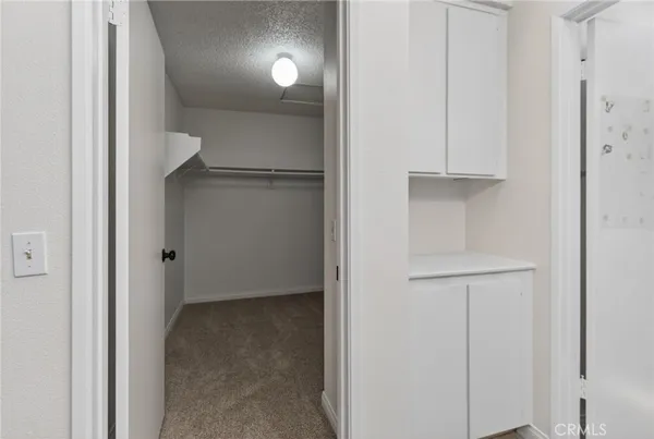 a bathroom with a shower and a toilet