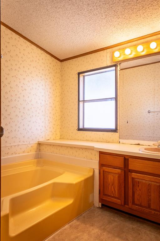 4713 Fox Hollow Road Graham, TX 76450 - Photo 19 of 39 a bathroom with a sink and a bathtub