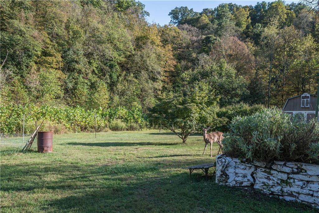 1544 Rte 2023 Monongahela, PA 15063 - Photo 29 of 30 a big yard with lots of green space and plants