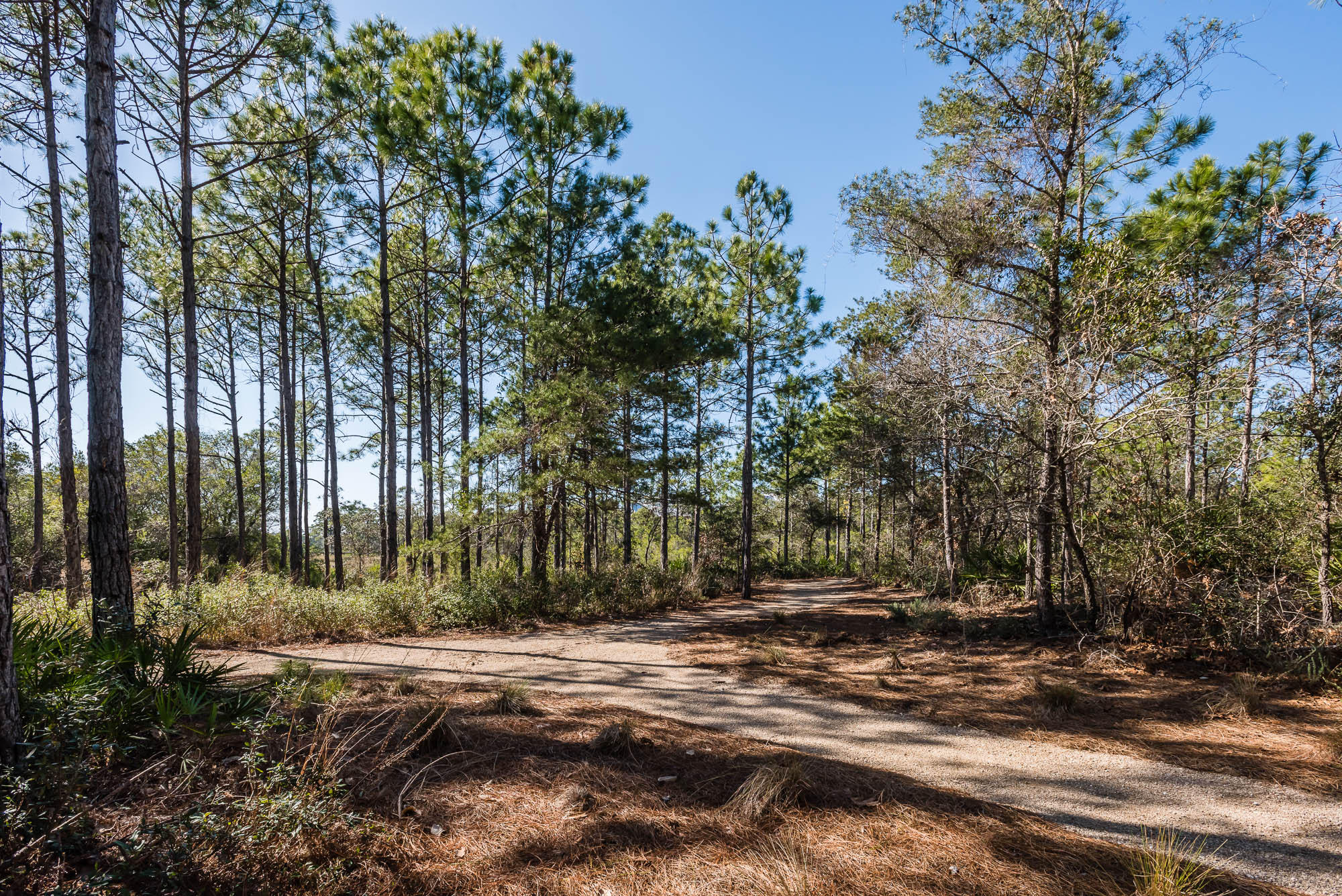 164 Red Cedar Way Santa Rosa Beach, FL 32459 - Photo 26 of 56 160219-164redcedar-037-2000