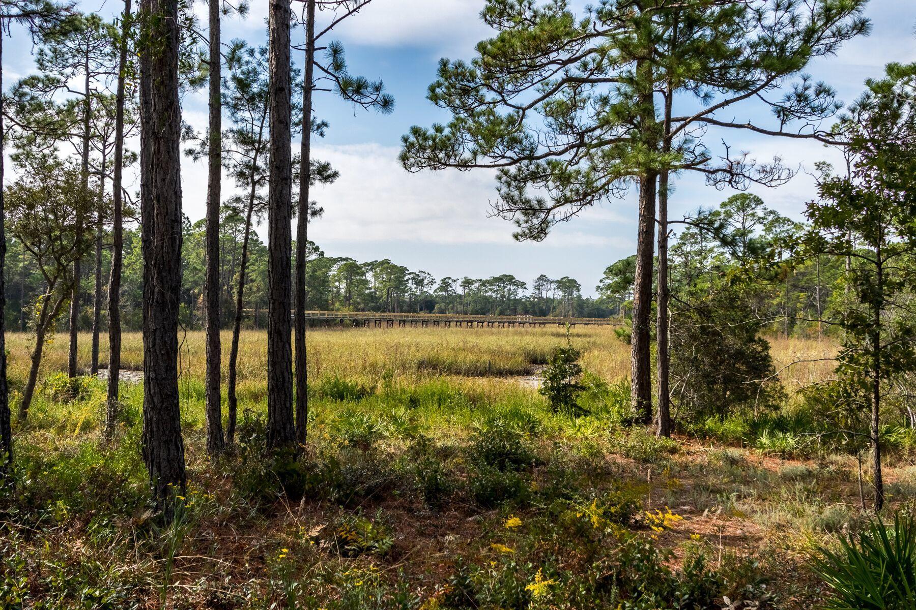 164 Red Cedar Way Santa Rosa Beach, FL 32459 - Photo 5 of 56 svWS0HVg