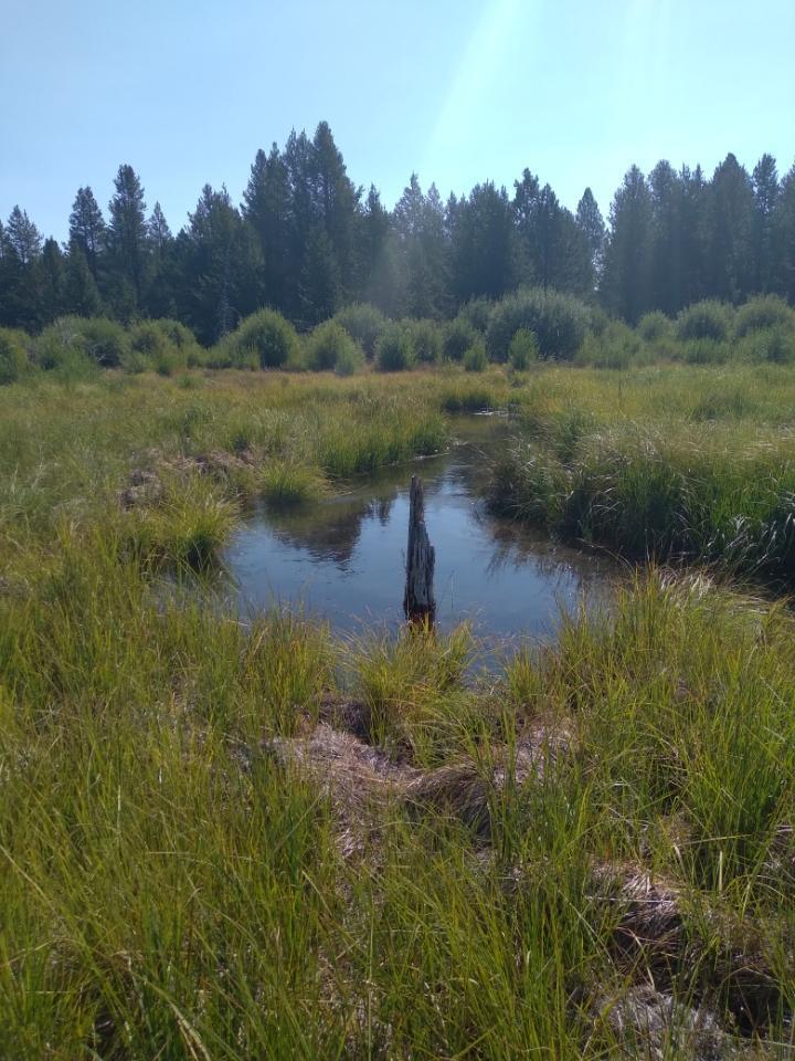 Larkin Creek Road Chiloquin, OR 97624 - Photo 3 of 7 Larkin Creek