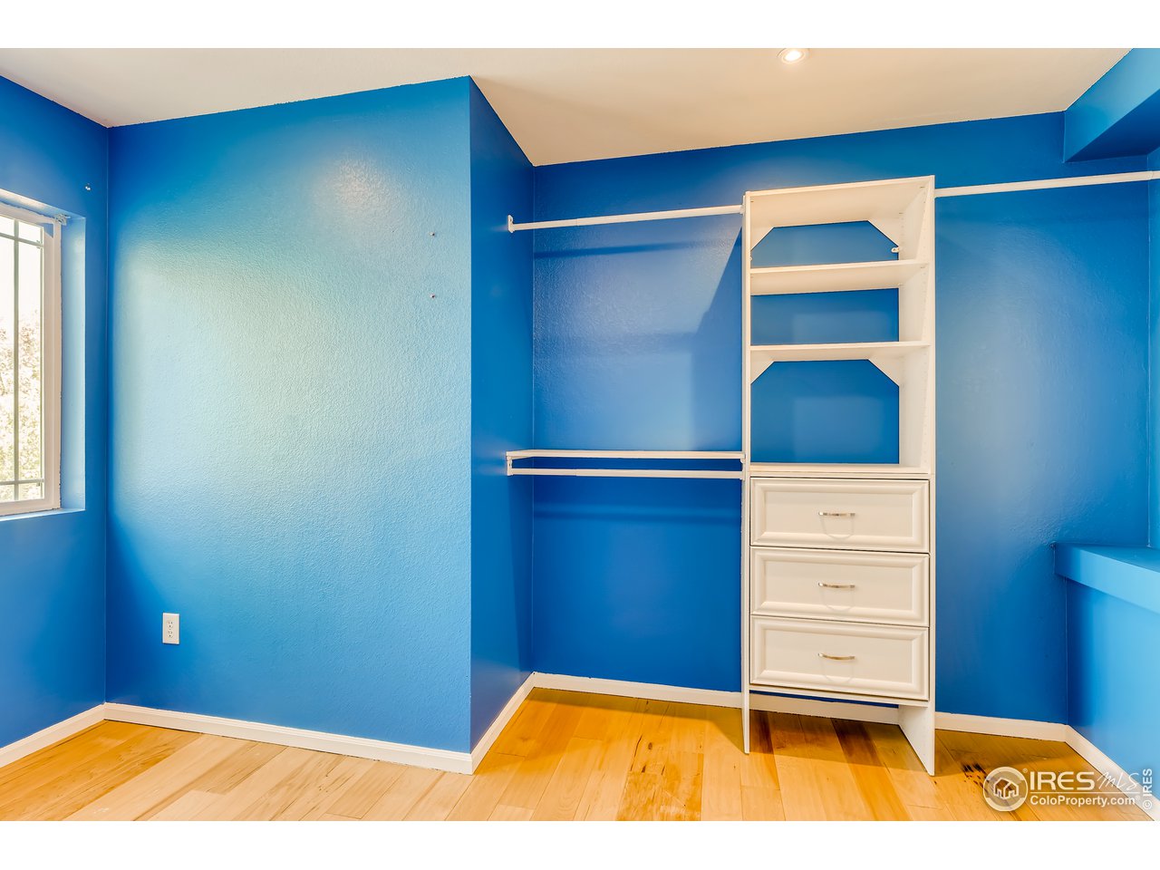 2175 Coach House Loop Castle Rock, CO 80109 - Photo 16 of 33 a view of a room with storage