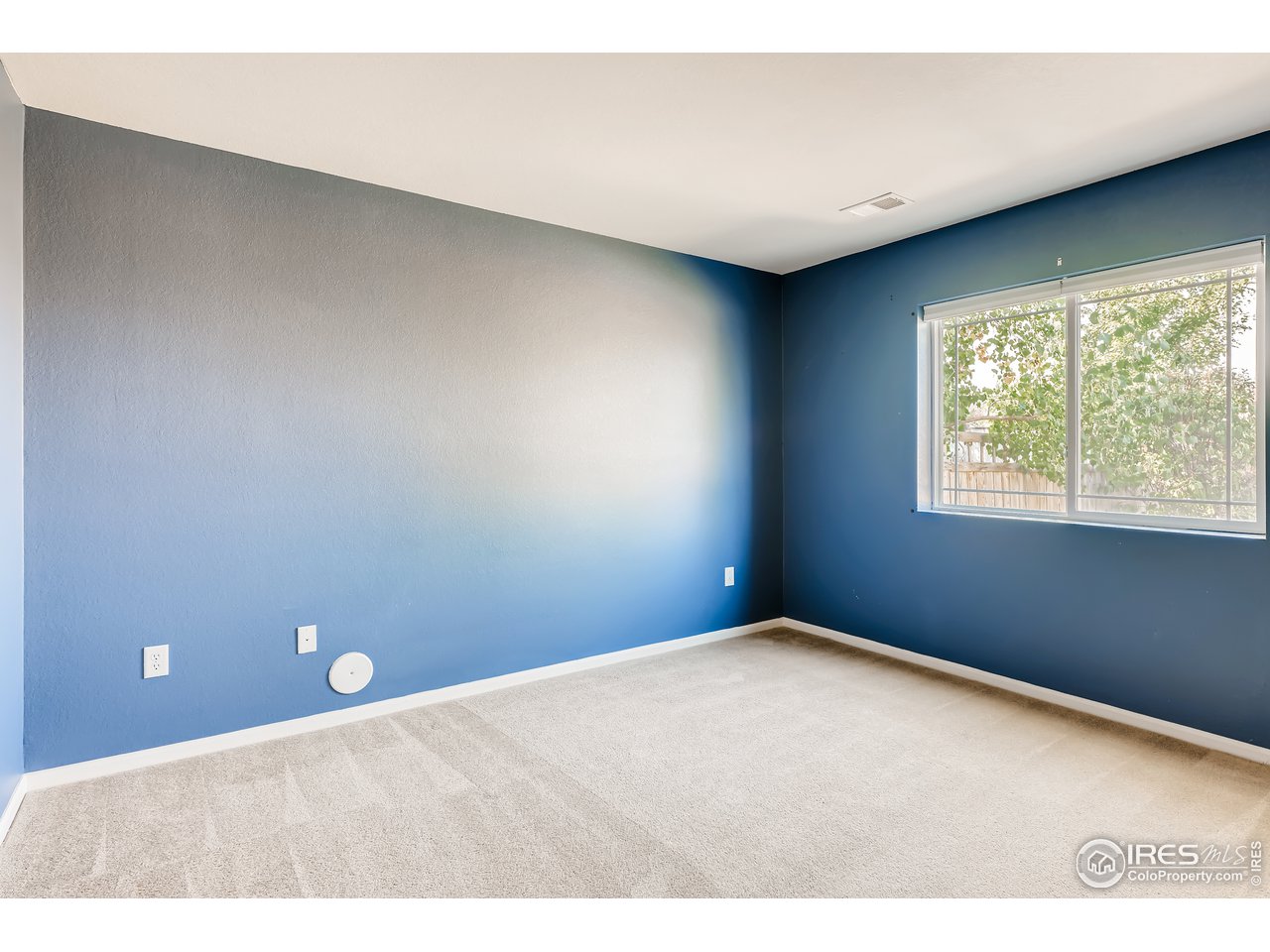 2175 Coach House Loop Castle Rock, CO 80109 - Photo 8 of 33 a view of an empty room with a window