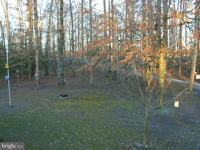 4290 Frazier Neck Road Preston, MD 21655 - Photo 6 of 9 Front Yard from Deck