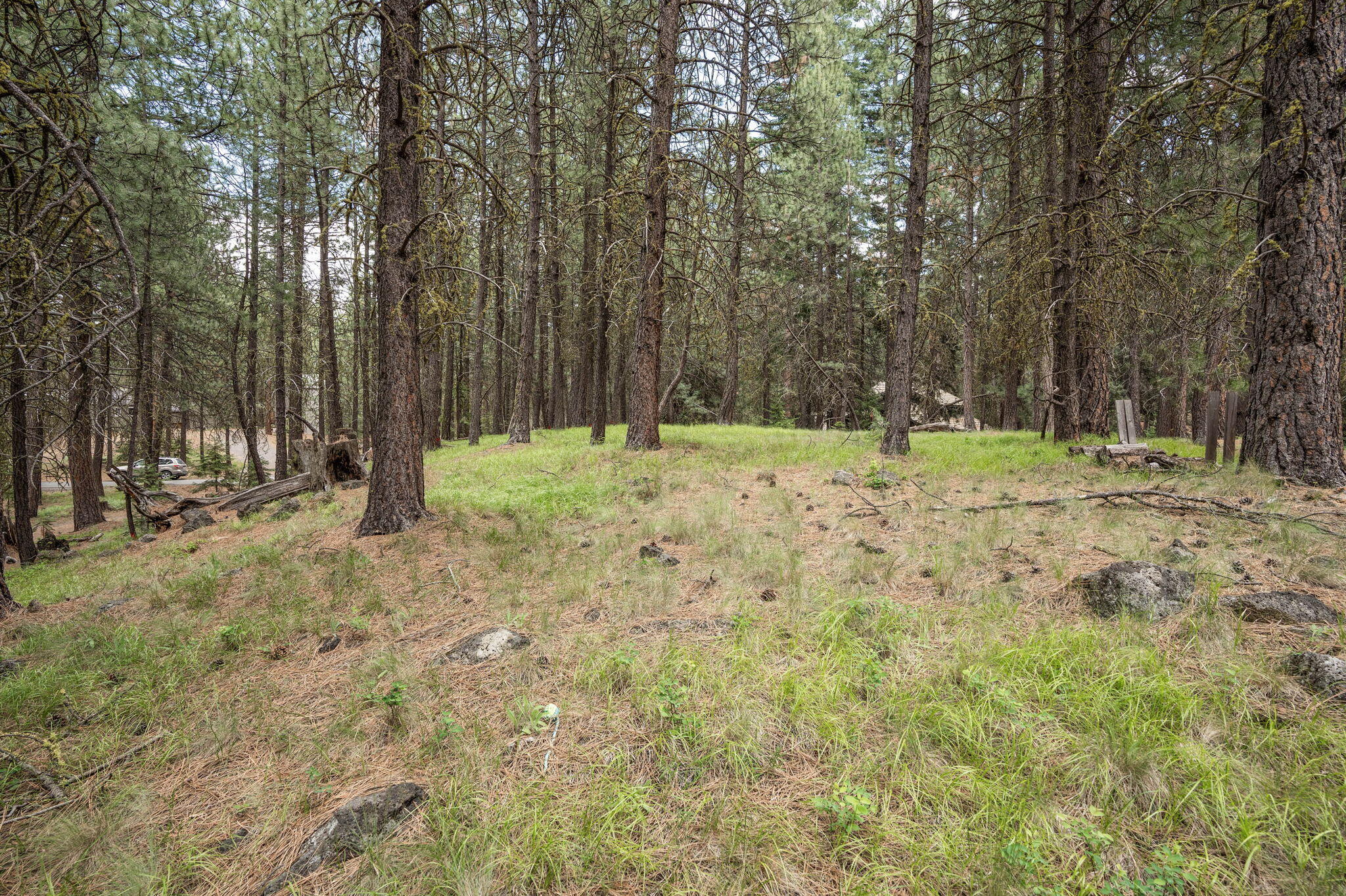 Undisclosed Address Black Butte Ranch, OR 97759 - Photo 14 of 24 a backyard of a house with trees