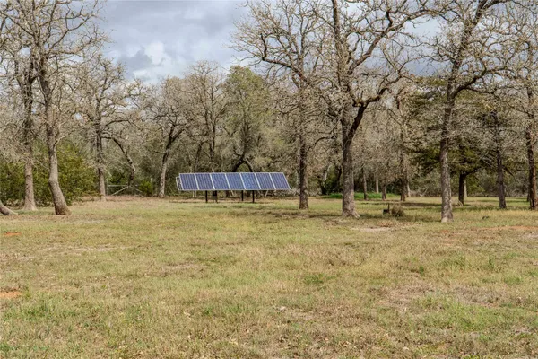 a view of a yard with a trees