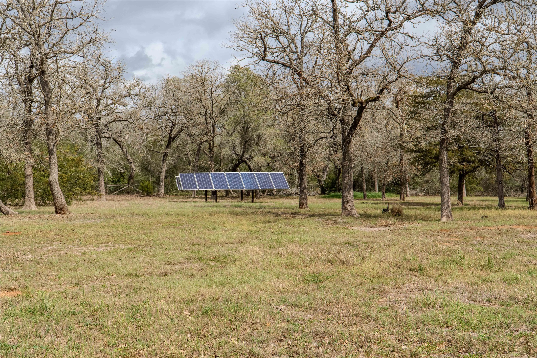 7519 Silvermine Road Harwood, TX 78632 - Photo 5 of 20 a view of a yard with a trees
