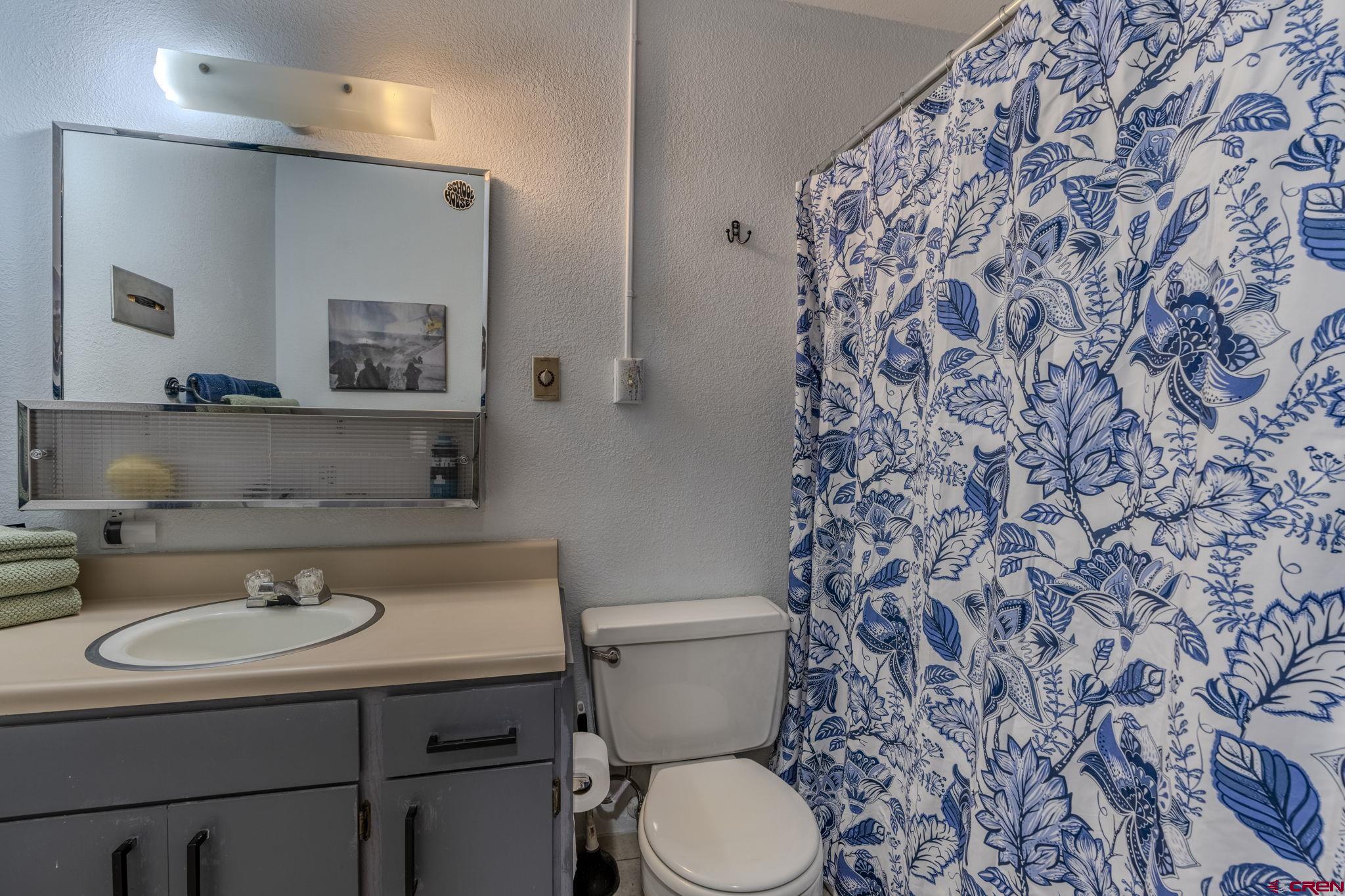 395 Sheol Street, Unit 109 Durango, CO 81301 - Photo 16 of 30 a bathroom with a sink a toilet and a mirror