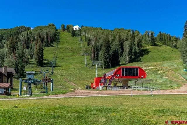 a view of outdoor space with garden and entertaining space
