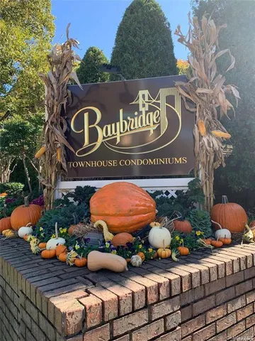 a view of a park with large trees and entertaining space