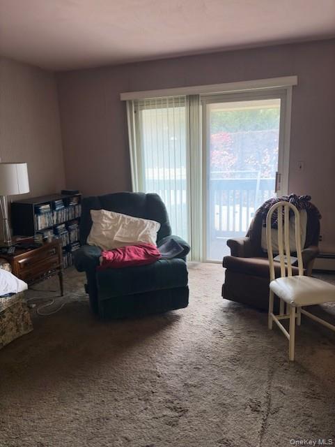 1338 Robin Lane, Unit 1212 Queens, NY 11360 - Photo 15 of 22 a living room with furniture and a large window