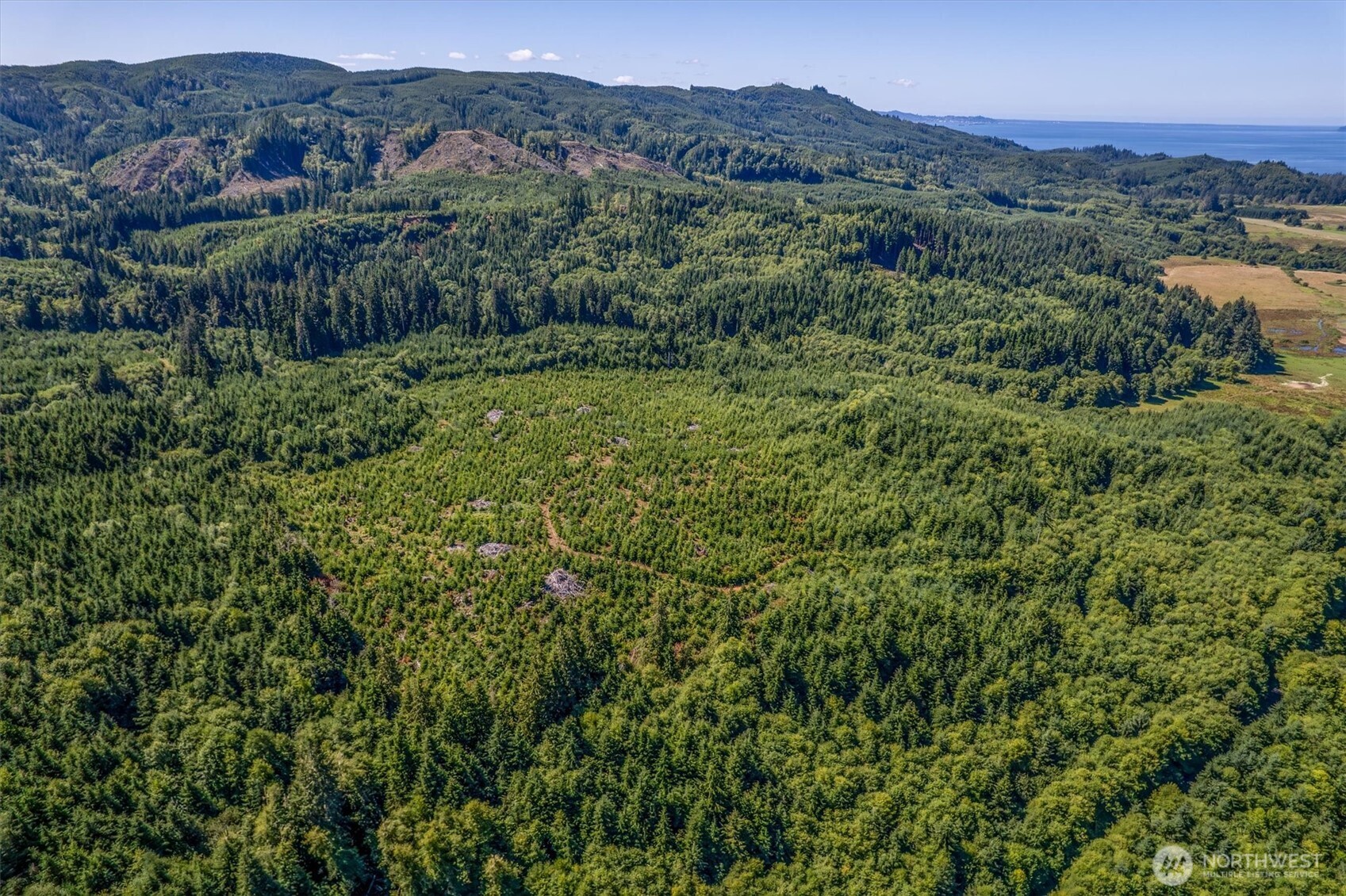 0 Eden Valley Road Rosburg, WA 98643 - Photo 13 of 14