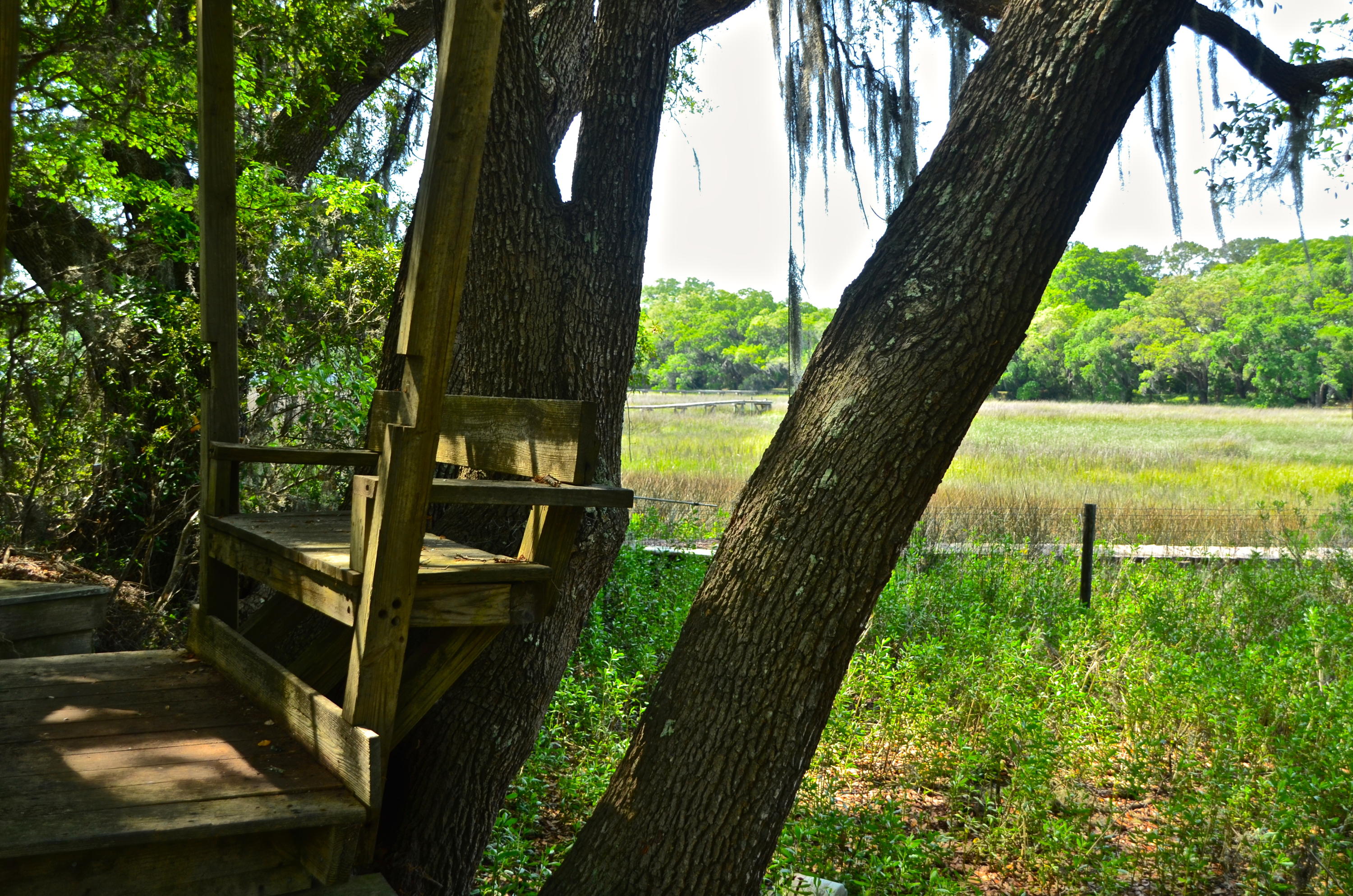 2718 Cast Net Road Johns Island, SC 29455 - Photo 12 of 24 DSC_1482