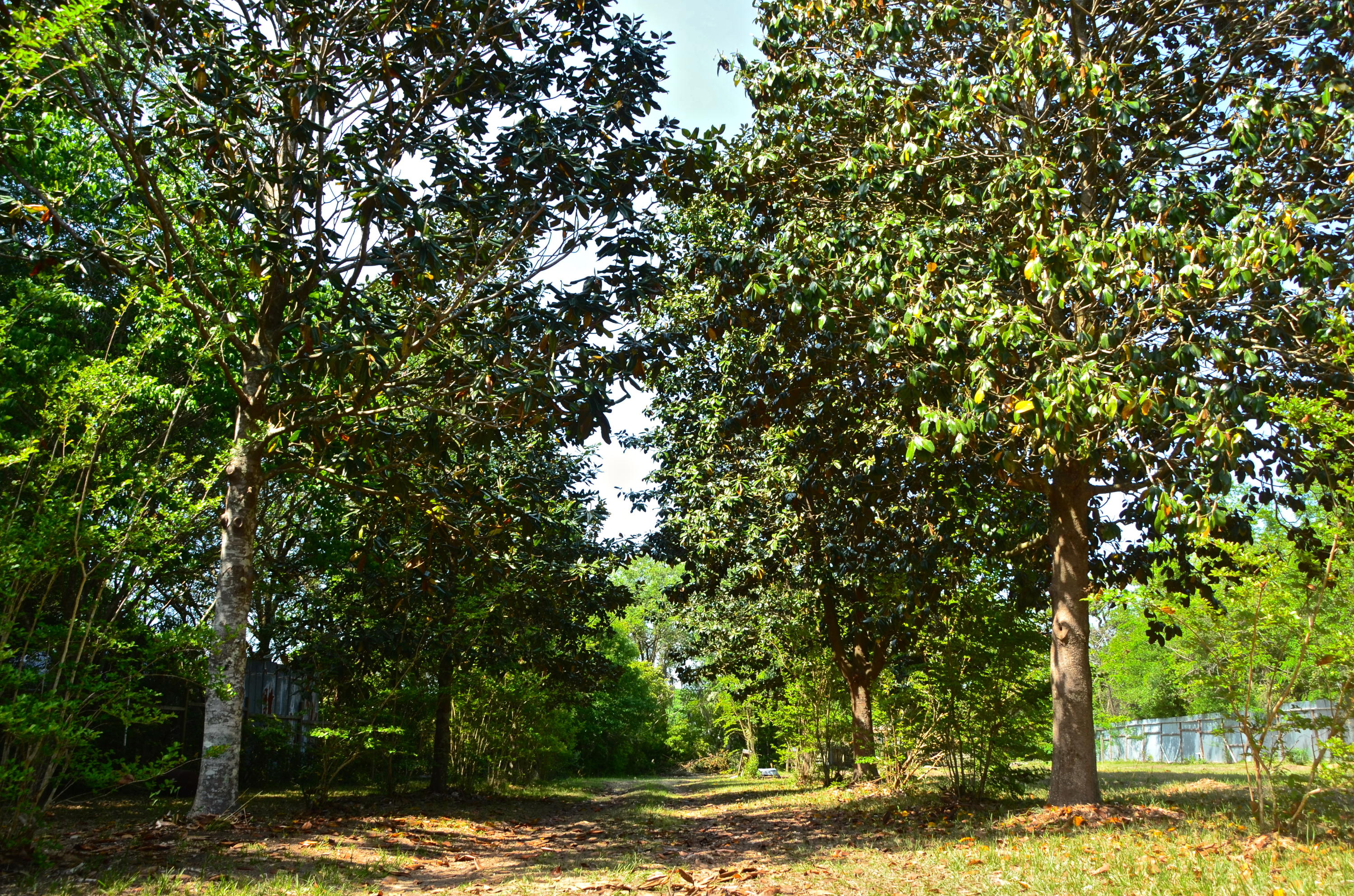 2718 Cast Net Road Johns Island, SC 29455 - Photo 20 of 24 DSC_1518