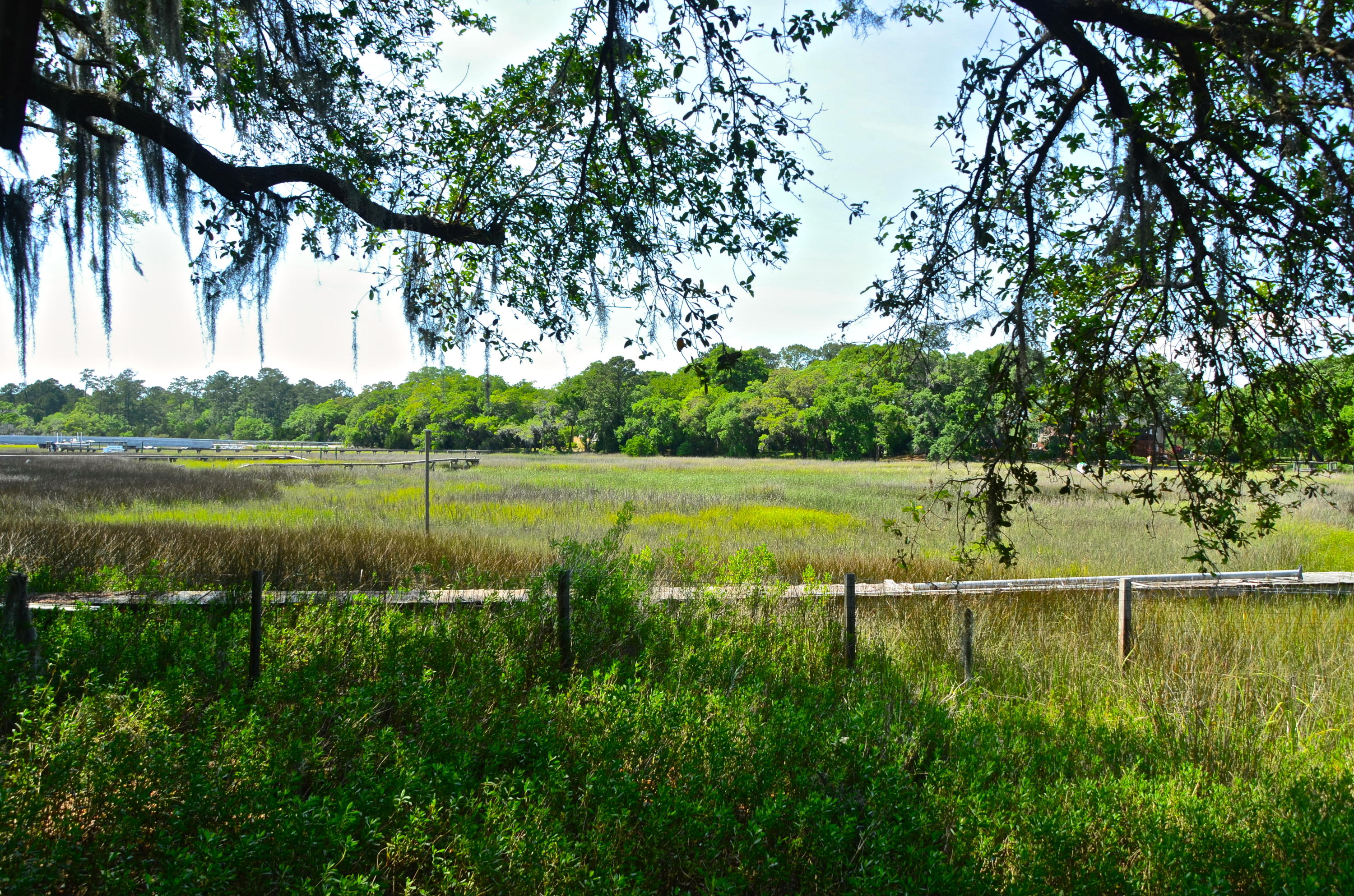 2718 Cast Net Road Johns Island, SC 29455 - Photo 6 of 24 DSC_1438