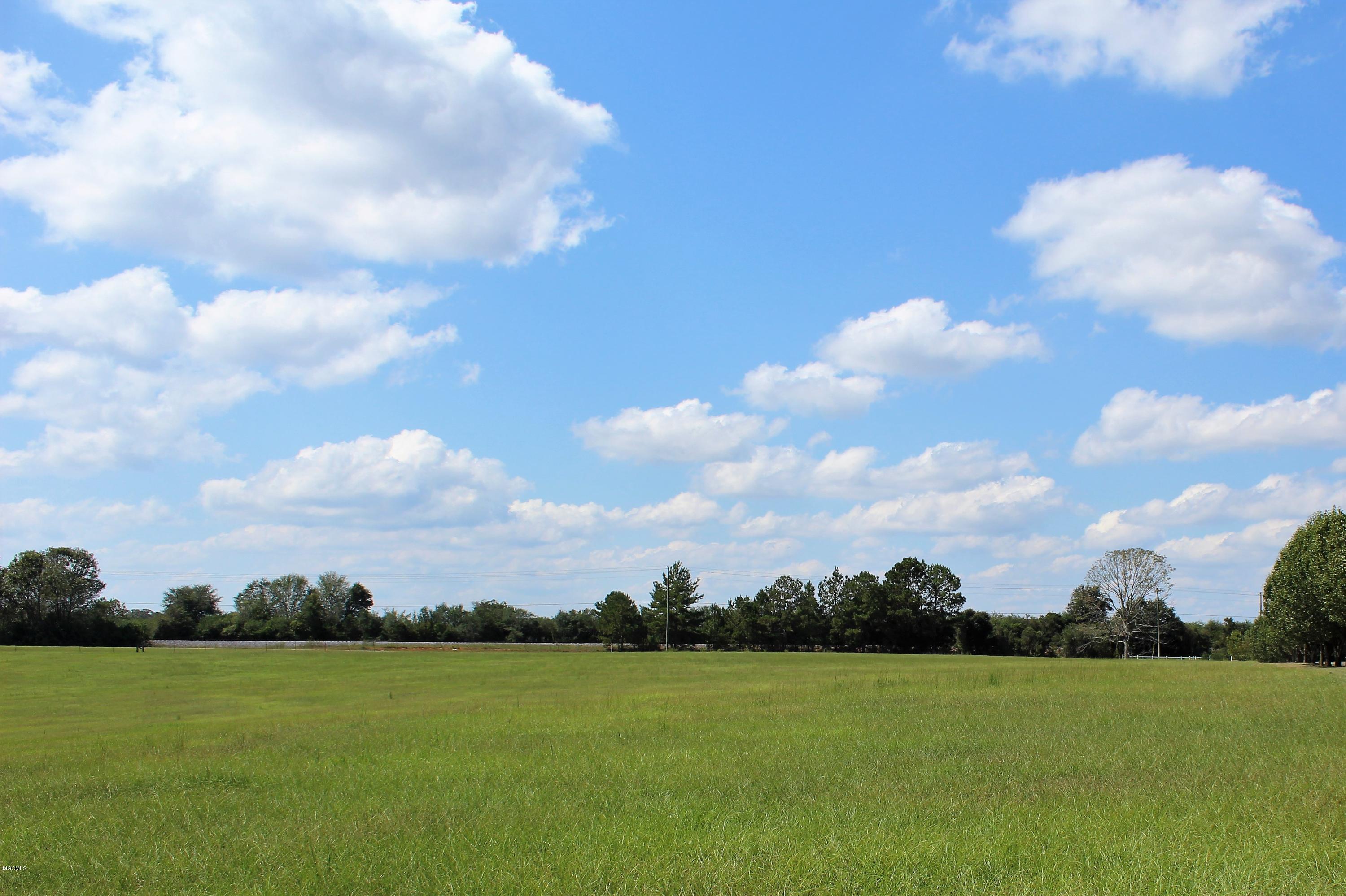 2162 Ward Pineview Road Lucedale, MS 39452 - Photo 40 of 55 IMG_2541