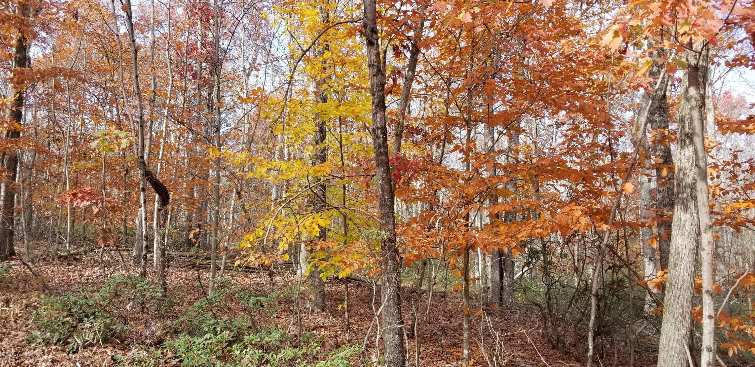20201025_143534