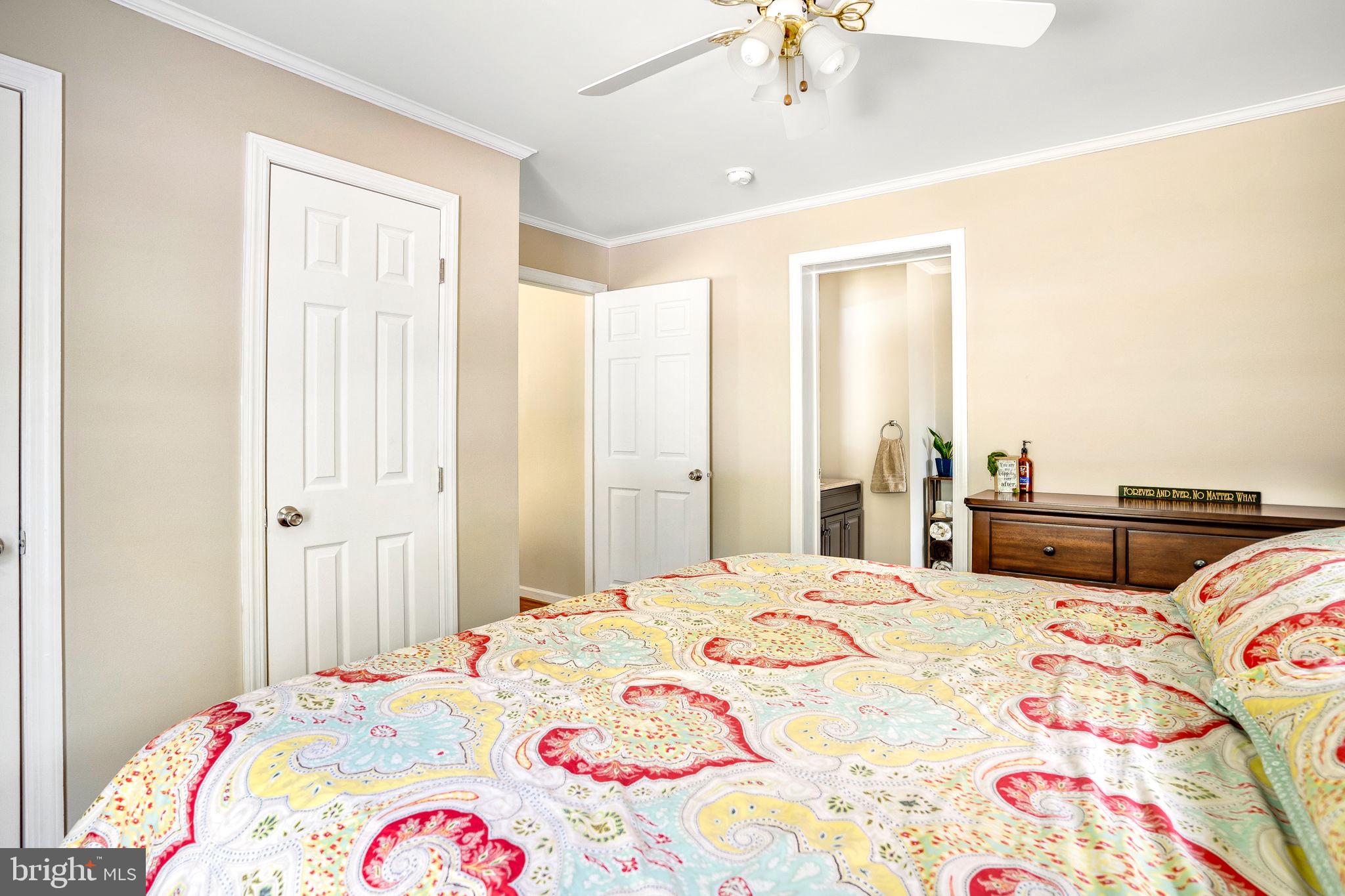 2782 Supinlick Ridge Road Mount Jackson, VA 22842 - Photo 16 of 48