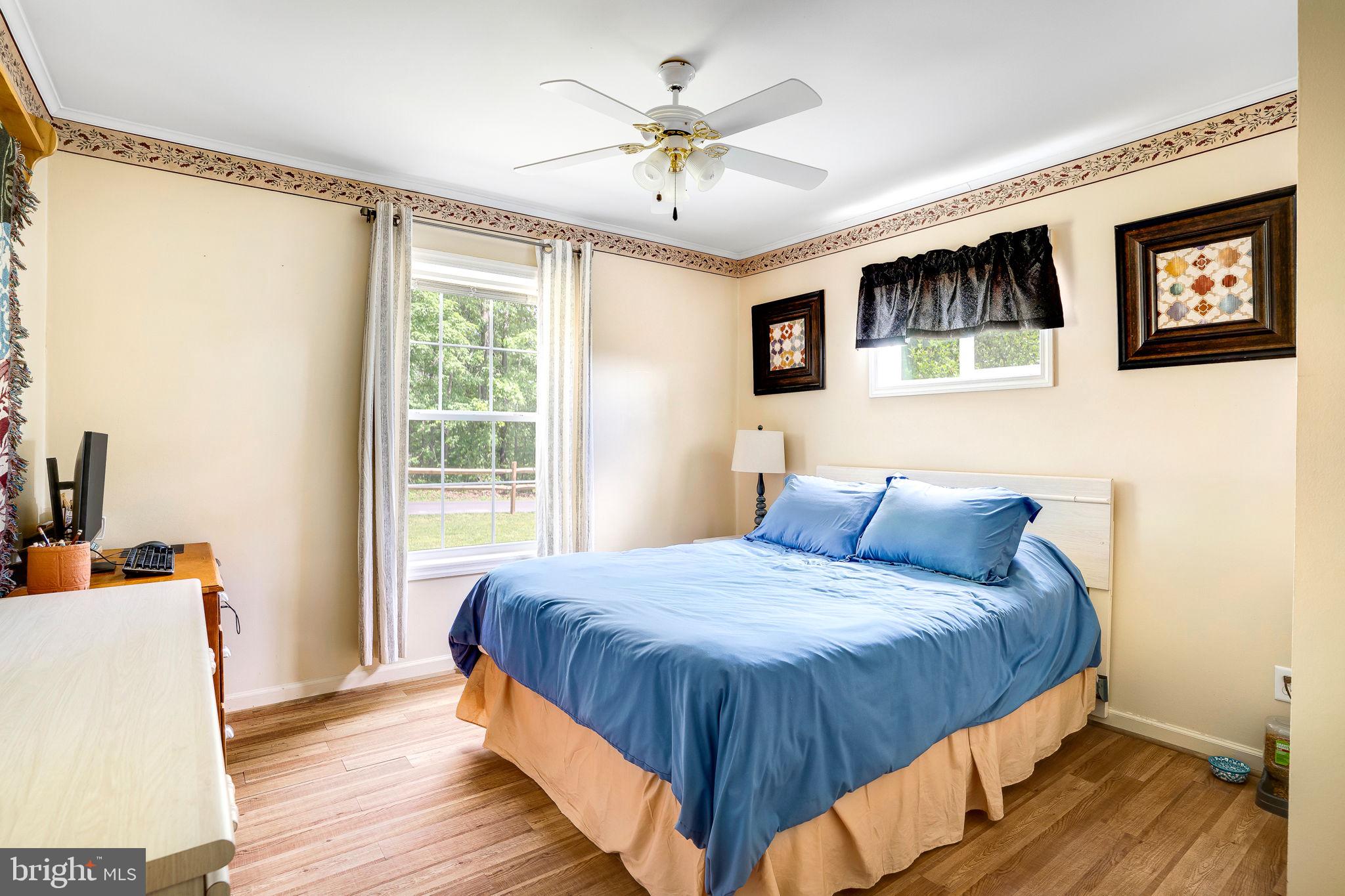 2782 Supinlick Ridge Road Mount Jackson, VA 22842 - Photo 19 of 48