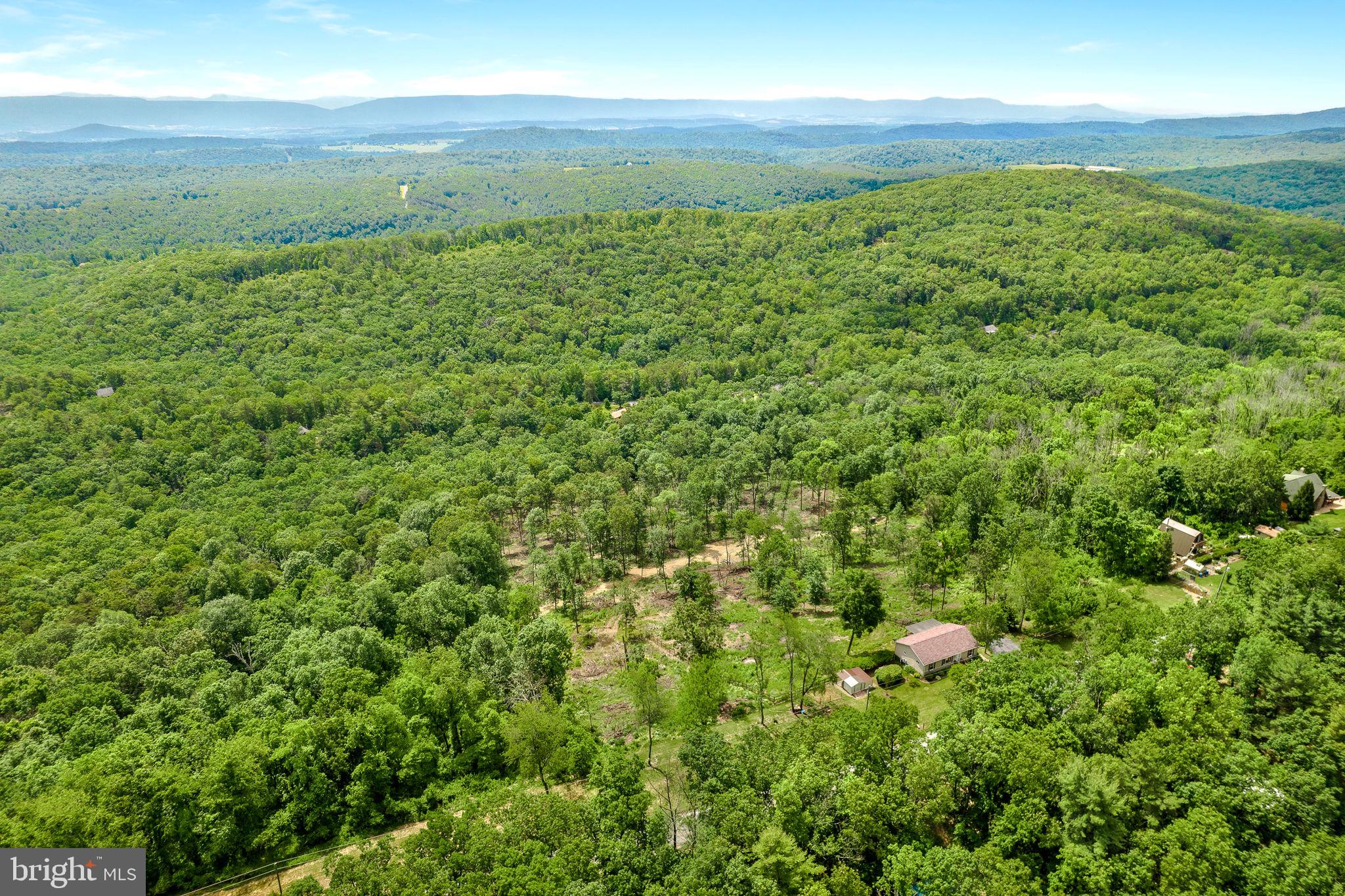 2782 Supinlick Ridge Road Mount Jackson, VA 22842 - Photo 35 of 48