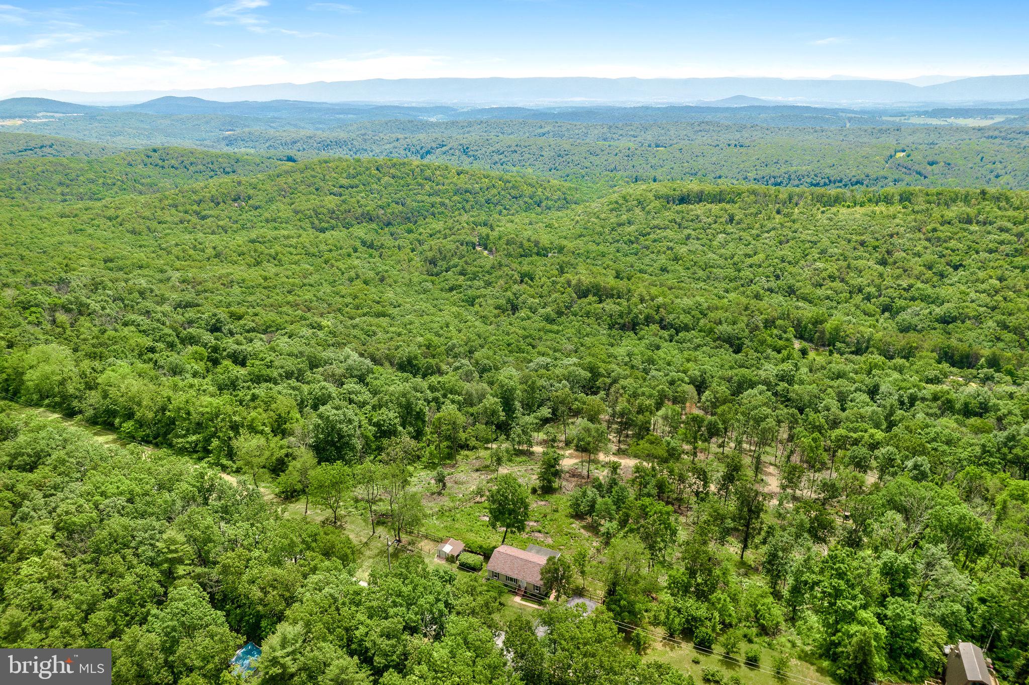 2782 Supinlick Ridge Road Mount Jackson, VA 22842 - Photo 4 of 48