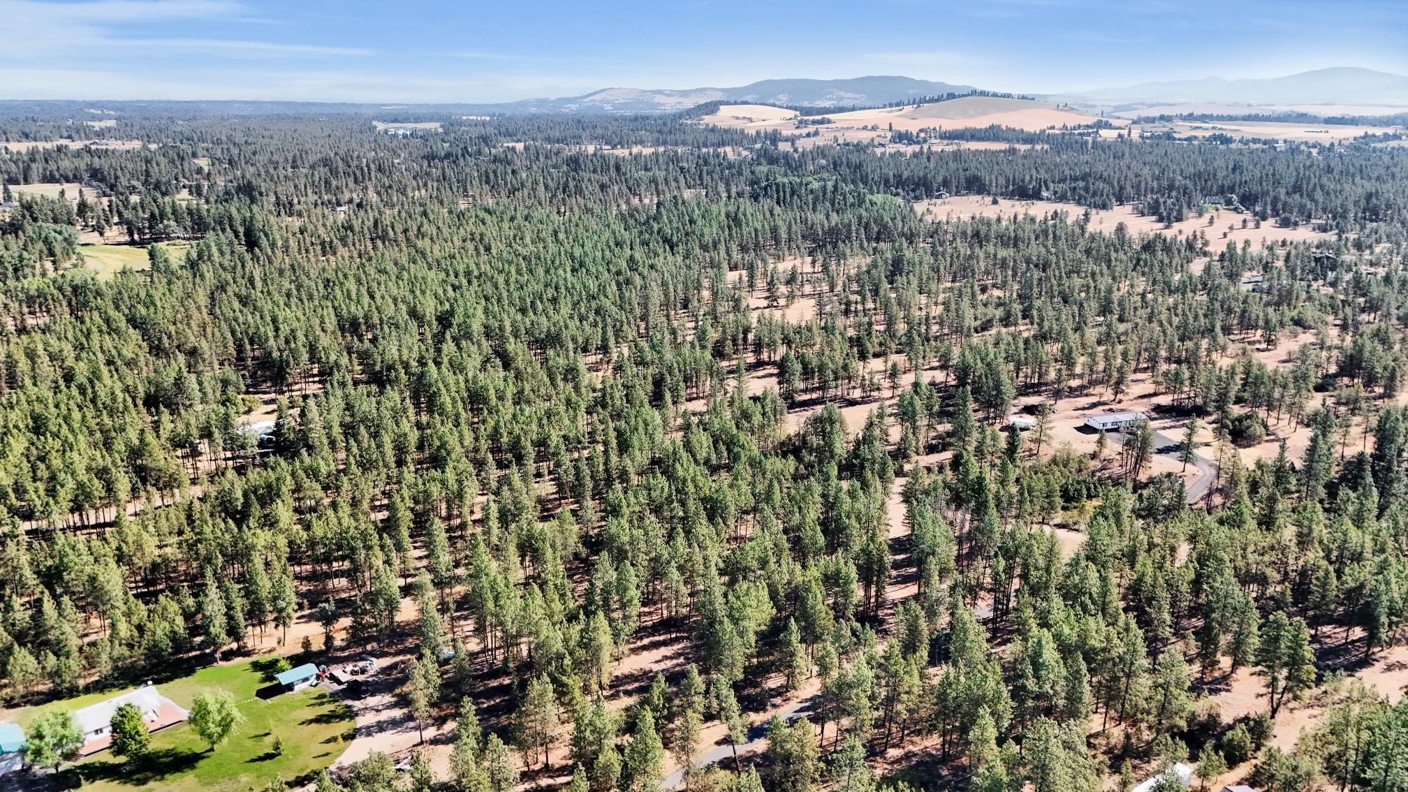 16619 South Sherman Road Cheney, WA 99004 - Photo 13 of 24