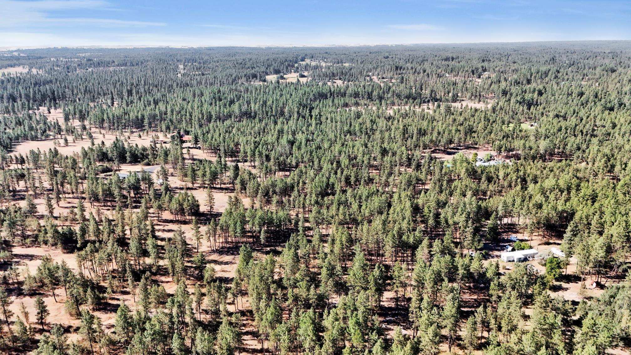 16619 South Sherman Road Cheney, WA 99004 - Photo 16 of 24