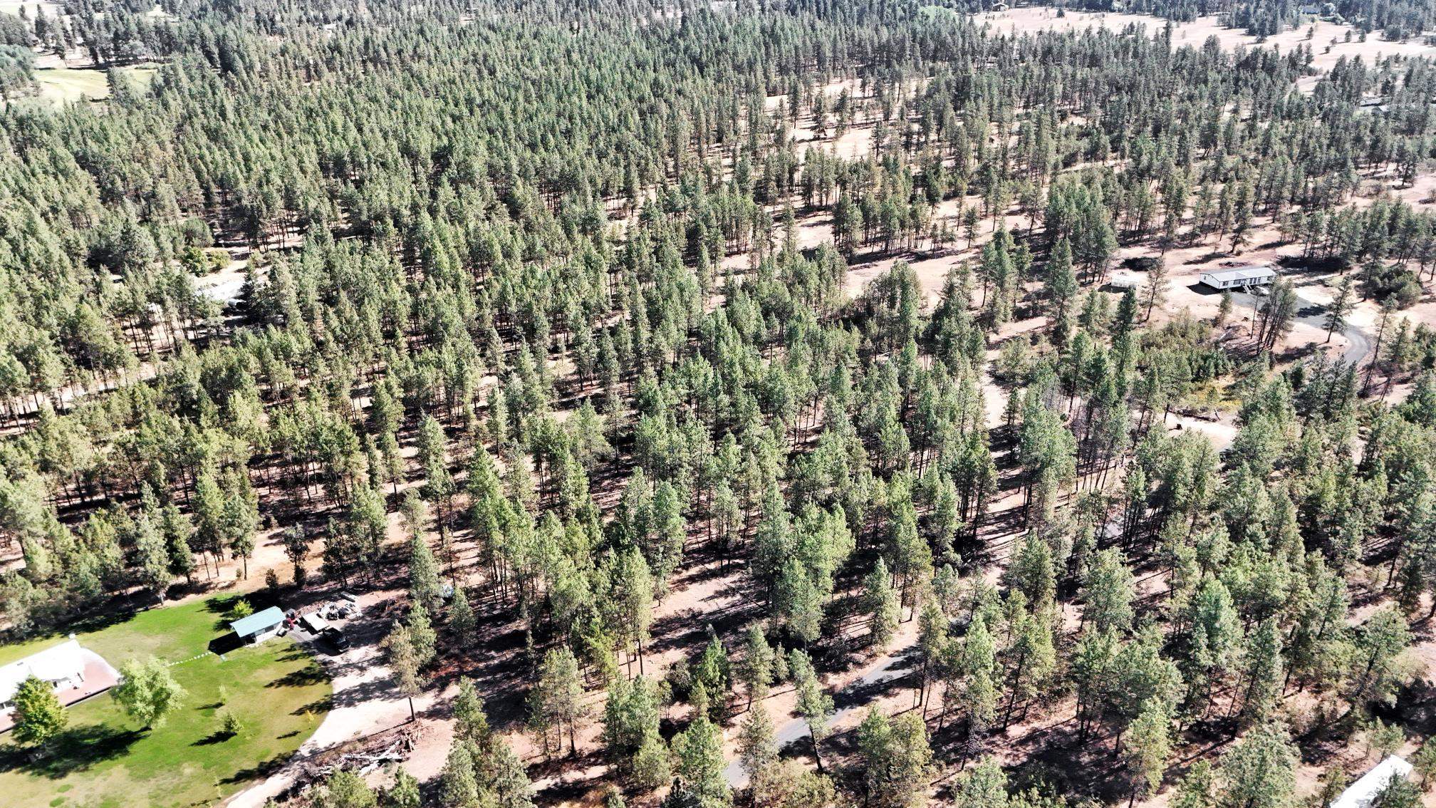 16619 South Sherman Road Cheney, WA 99004 - Photo 21 of 24