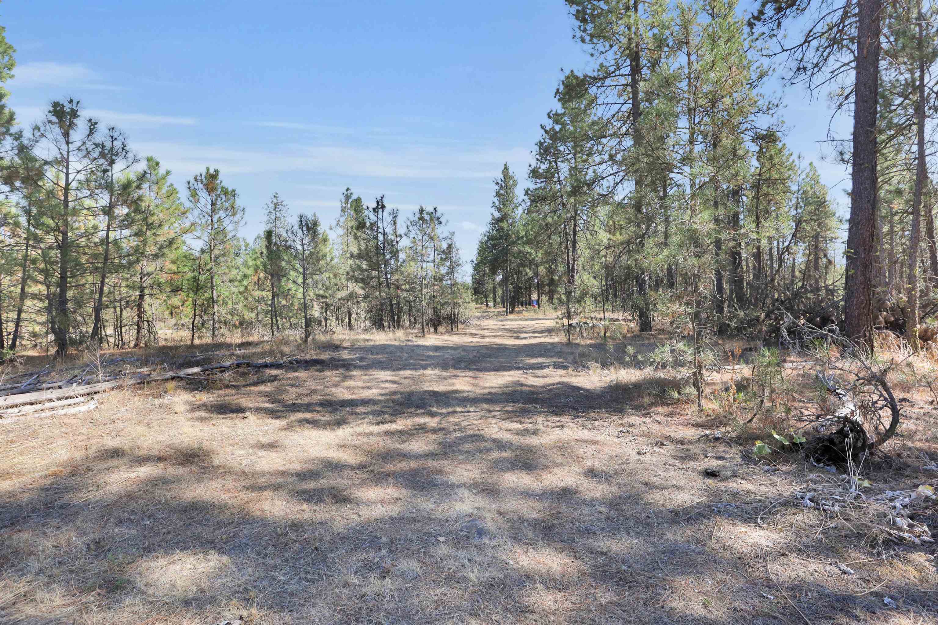 16619 South Sherman Road Cheney, WA 99004 - Photo 4 of 24