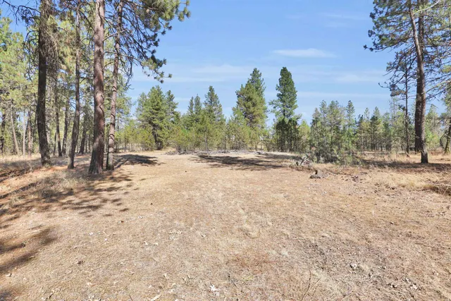 $250,000 | 16619 South Sherman Road, Cheney, WA 99004