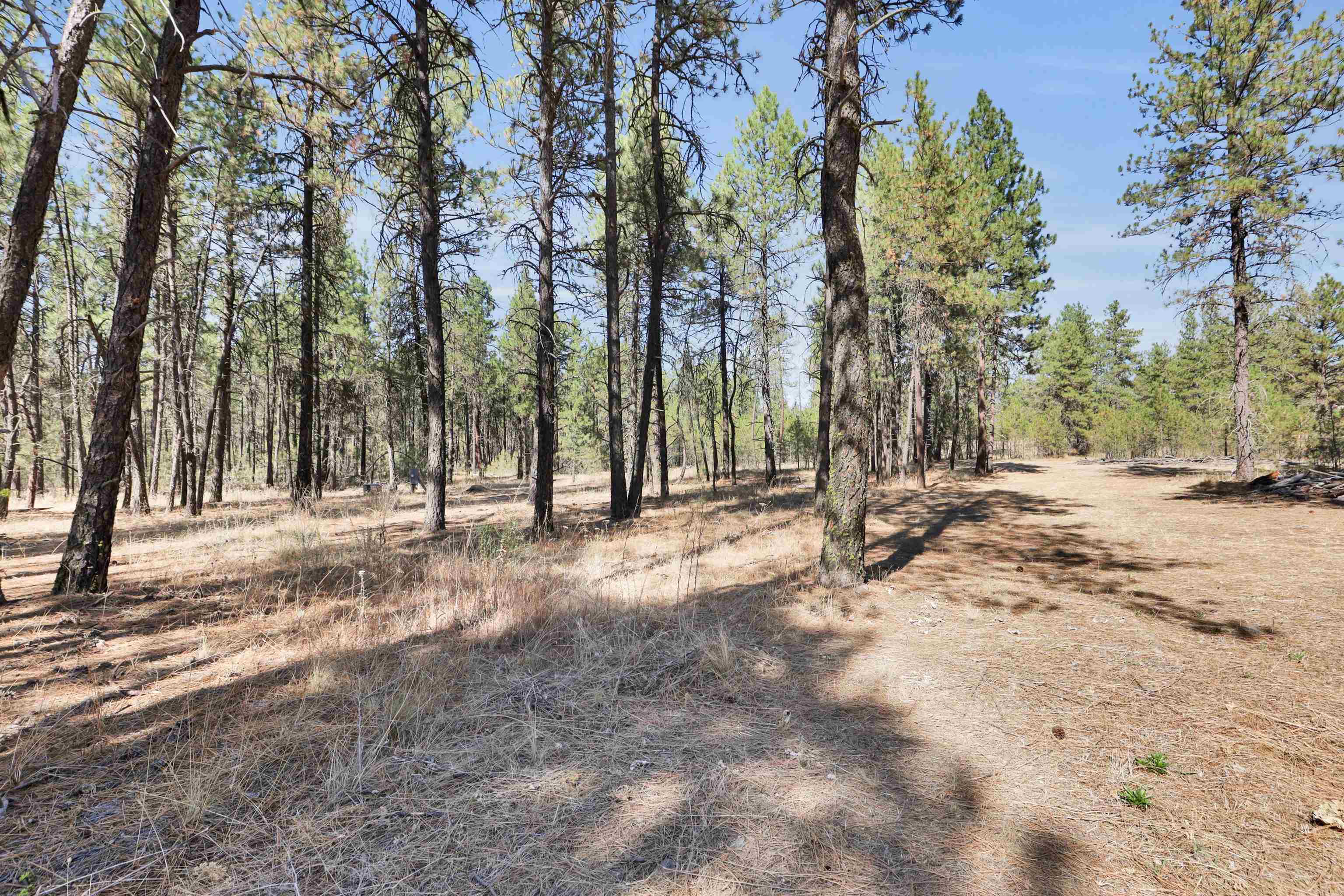 16619 South Sherman Road Cheney, WA 99004 - Photo 7 of 24